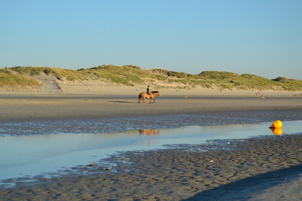cheval plage