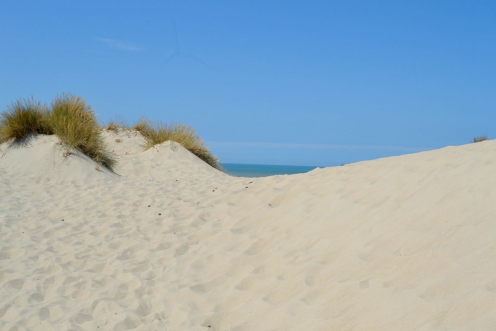 dunes côtes picardes