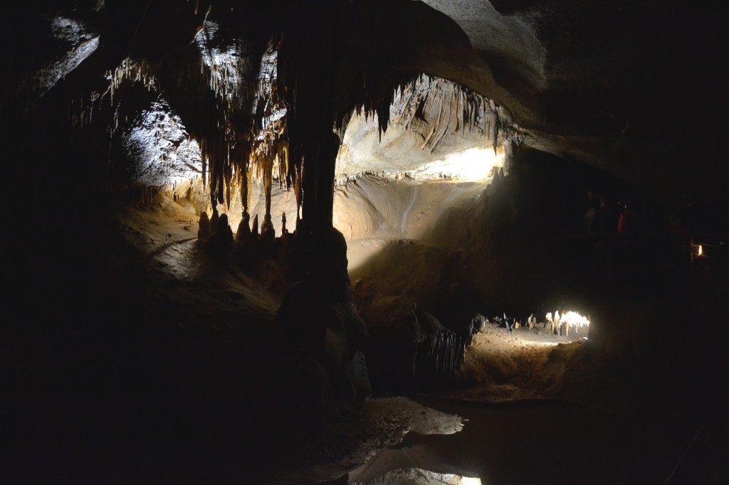 Ardèche - grotte de la Cocalière