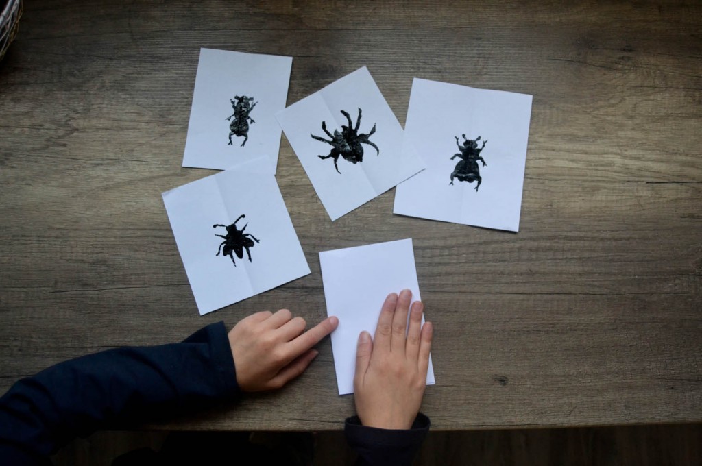 peinture insectes