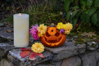Décoration d’Halloween : la citrouille fleurie